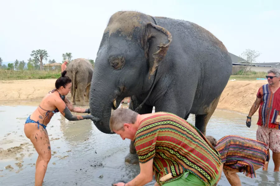 Elephant Jungle Sanctuary Pattaya