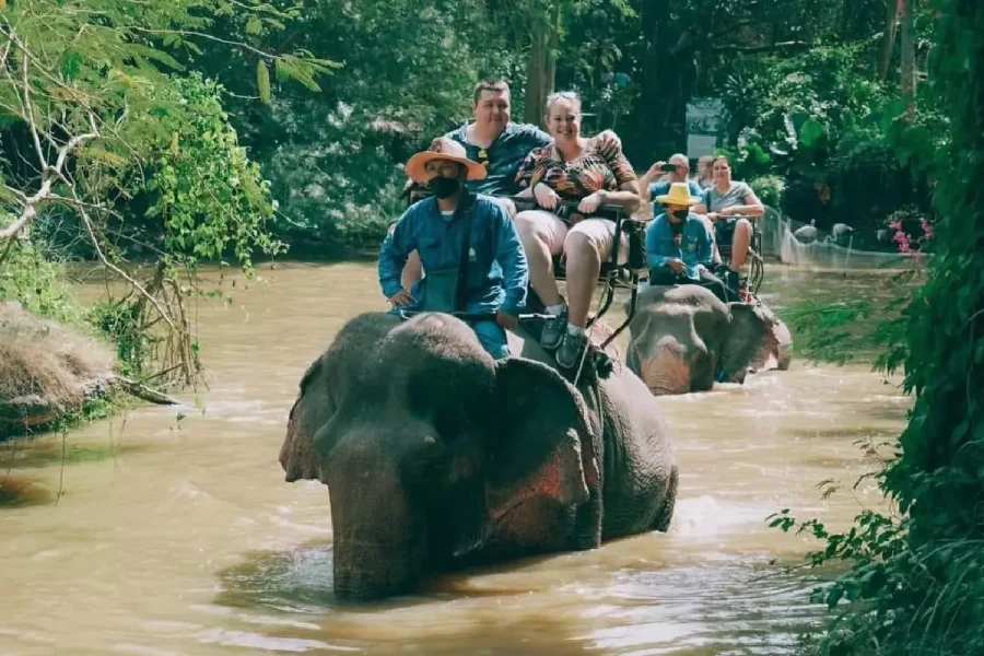 Elephant Village Pattaya And Mongchang Cafe
