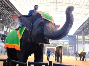 Nong Nooch Botanical Garden