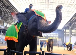 Nong Nooch Botanical Garden