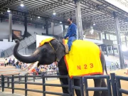 Nong Nooch Botanical Garden