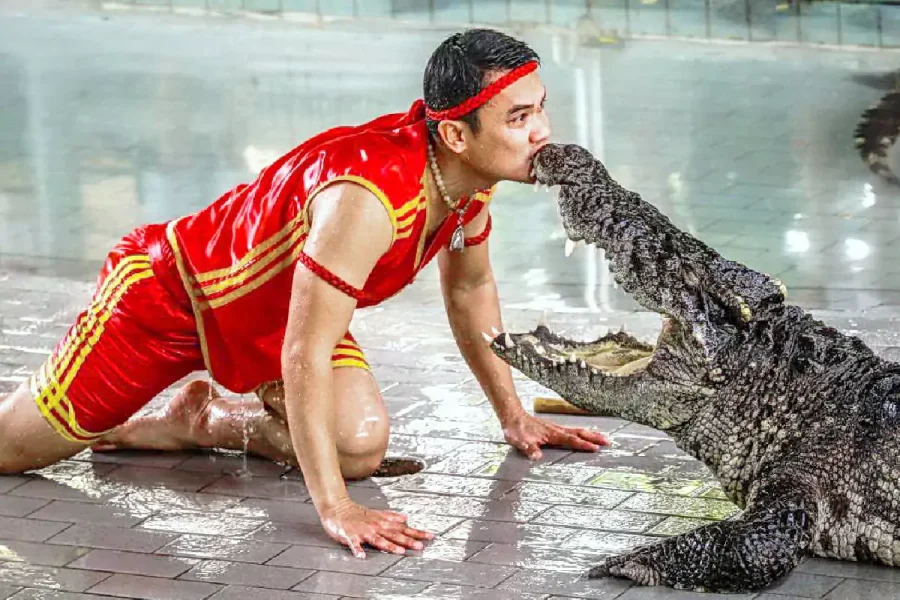 The Million Years Stone Park & Pattaya Crocodile Farm