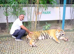 Tiger Park Pattaya-