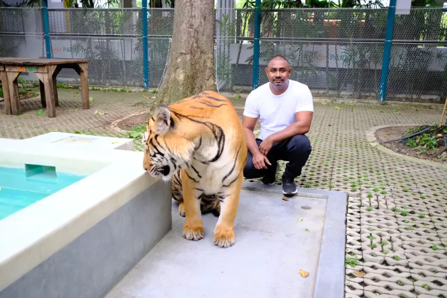 Tiger Park Pattaya-