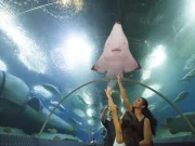 Underwater World Pattaya