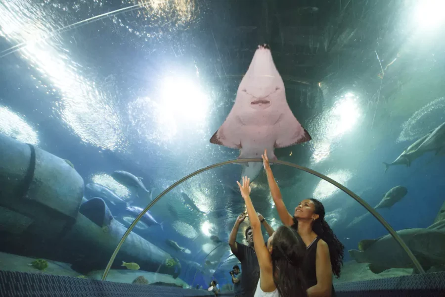 Underwater World Pattaya