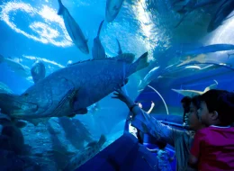 Underwater World Pattaya