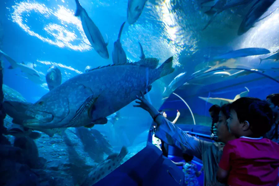 Underwater World Pattaya