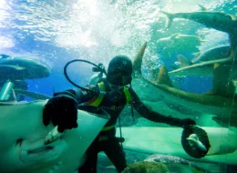 Underwater World Pattaya