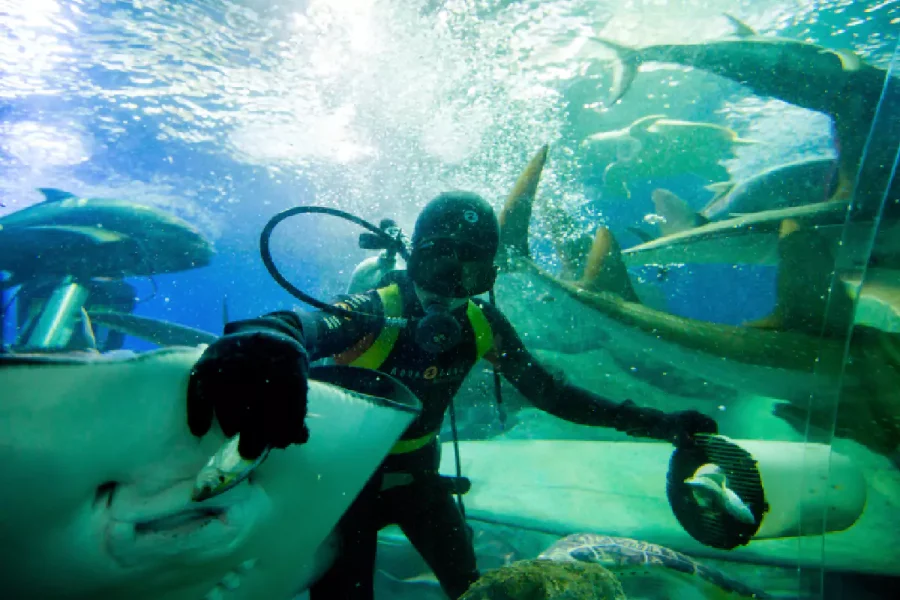 Underwater World Pattaya