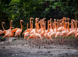 Safari World And Marine Park Bangkok