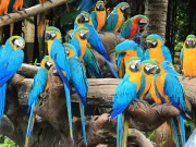 Safari World And Marine Park Bangkok