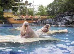 Safari World And Marine Park Bangkok