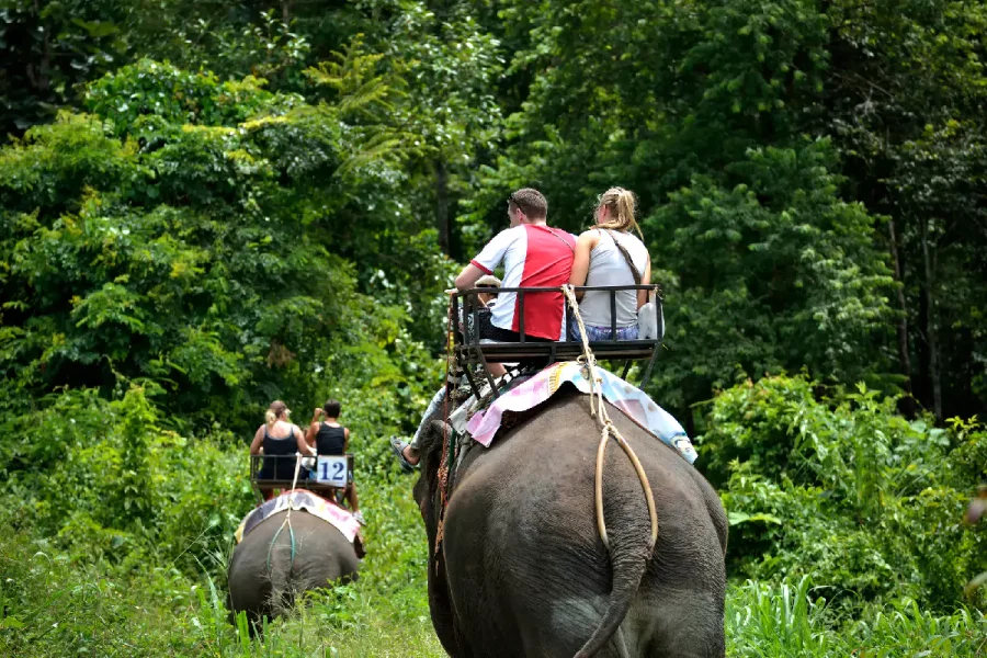 Exclusive Phuket Tour Packages