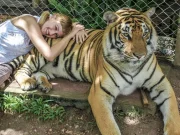 Tiger park Phuket