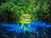 Jungle Tour Krabi
