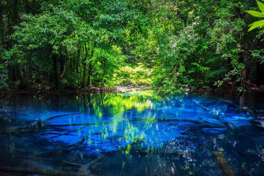 Jungle Tour Krabi
