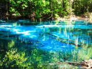 Jungle Tour Krabi