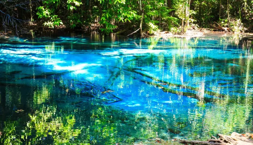 Jungle Tour Krabi