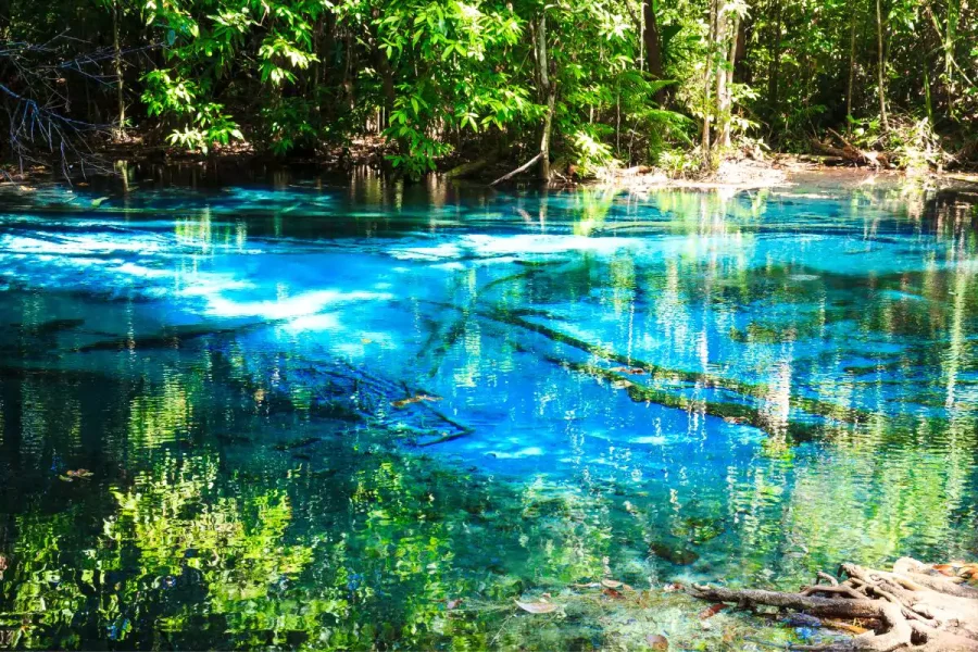 Jungle Tour Krabi