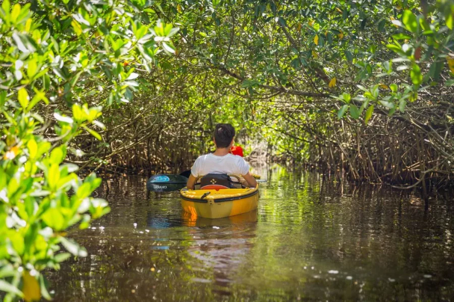 Kayaking Full Day Tour Krabi At Ao Thalane + Swimming By Long Tail Boat- SIC Transfer