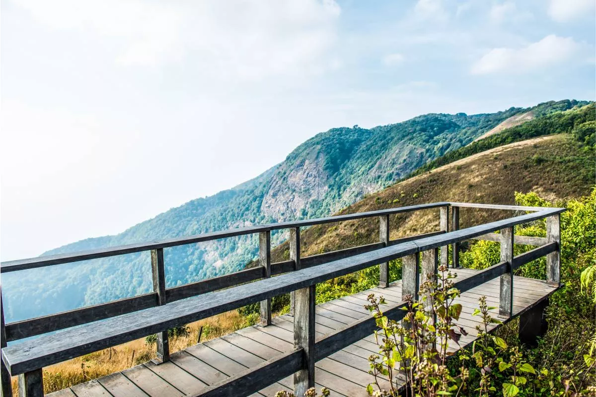 Doi Inthanon trekking Chiang Mai forest path
