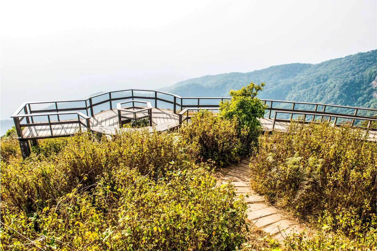 Doi Inthanon trekking Chiang Mai nature trail