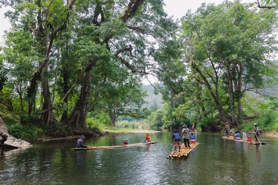 Bamboo Rafting Chiang Mai jungle view