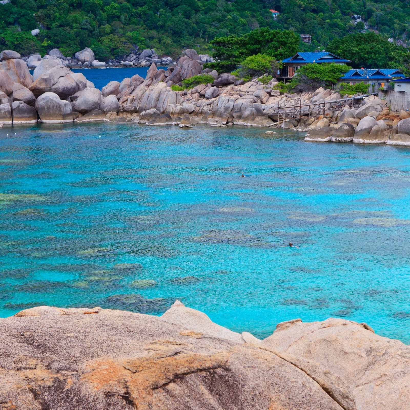 One Day Trip Koh Tao & Koh Nangyaun