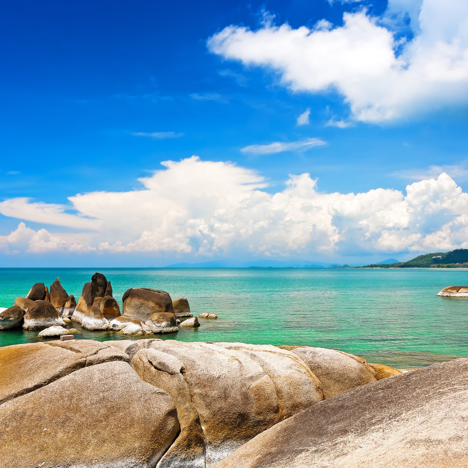 One Day Trip Koh Tao & Koh Nangyaun