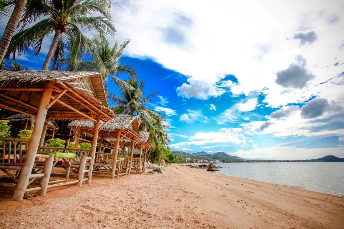 One Day Trip Koh Tao & Koh Nangyaun