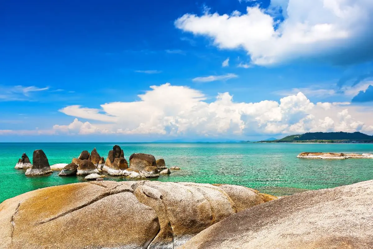 One Day Trip Koh Tao & Koh Nangyaun