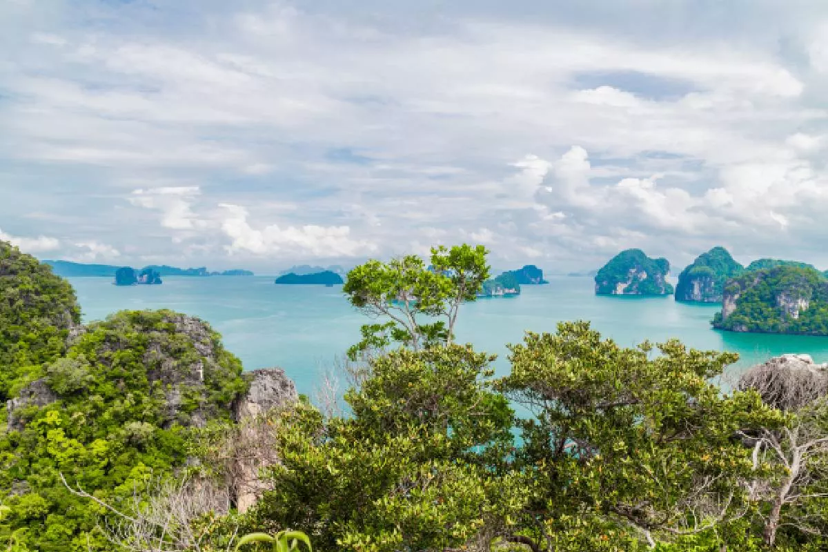 One Day Trip Angthong National Marine Park